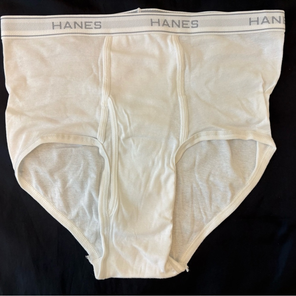 Hanes Men's White Brief